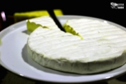 Alcofree cheese wheel